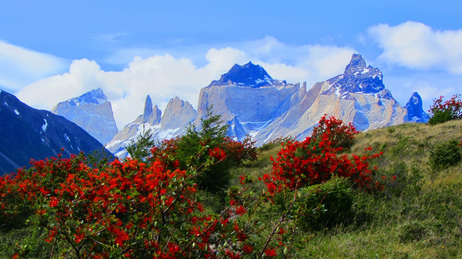 West side of the Cuernos del Paine